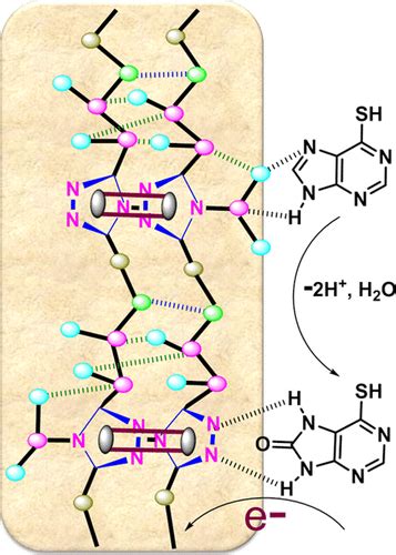 Nanonetwork of Coordination Polymer AHMT